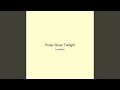 Pulse Silver Twilight