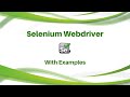 Selenium Videos Webdriver Example Selenium Tutorial - checkboxes in list- QTPSELENIUM.COM