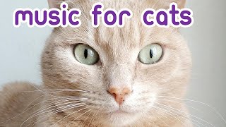 NEW Relaxing Cat Music - 6 Hours of EXTREMELY Soothing Cat Music!