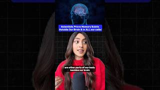 Scientists Prove Memory Exists In Cells Outside Our Brain