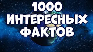 1000 ИНТЕРЕСНЫХ ФАКТОВ ОБО ВСЁМ