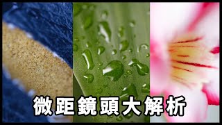 想拍得更近更大？那你一定要有一管微距鏡頭！│微距鏡大解析│生態攝影│小物攝影│美食攝影│商業攝影【CKTV】