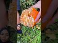 Petik Buah Jeruk JUMBO🍊 #fypshorts #shortsvideo #fruit #orange #harvesting #gardeningtips #yummy