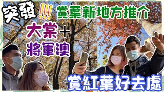 「突發‼️」郊遊VLOG🌾｜元朗大棠紅葉🍁｜楓香林🪵｜香港紅葉🍂｜將軍澳紅葉🍃｜紅葉指數B級☘️｜觀賞紅葉新推介