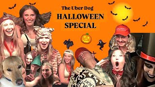 UBER PUPPY SURPRISES PASSENGERS ON HALLOWEEN