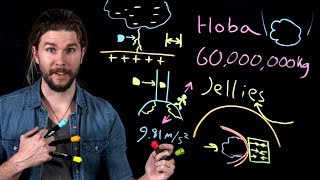 The Wakanda Meteor in Real Life? | Because Science Live
