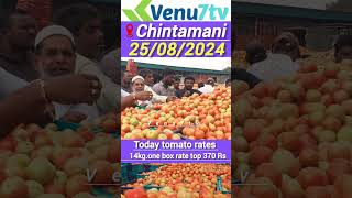 #today Chintamani tomato rates #Tomato rates #Chintamani @Venu7tv