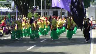 「コンコン豊川」　よさこいinおいでん祭2014