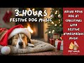 Festive Dog Music 3 HOURS Relax Your Dog with Atmospheric Festive Warm Music for Relaxing Sleeping