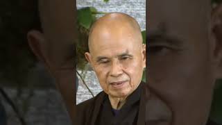 Embrace and Transform Your Anger | Thich Nhat Hanh | #shorts
