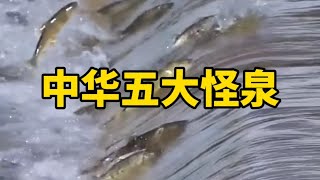 中华五大怪泉Five strange springs in China#travel #travelling #旅游攻略