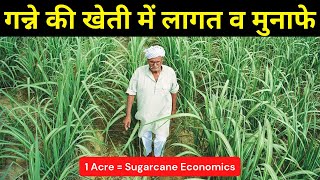 गन्ने की खेती में होने वाले कुल खर्च एवं मुनाफे जानकारी | Ganna | Sugarcane Farming | Krishi Network