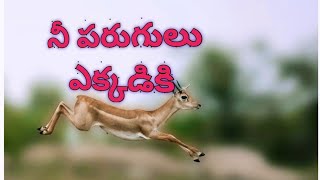 నీ ప్రయాణం-Journey