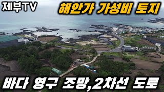 제주도 해안가 가성비 토지 매매 바다 영구 조망이 나오는 멋진 토지 입니다 제주도 부동산 매물,Jeju House for sale,Korea,제주도부동산TV