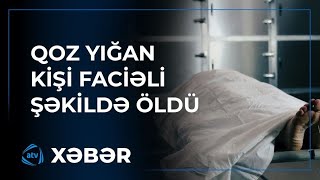 Şəkidə qoz ağacından yıxılan kişi ölüb