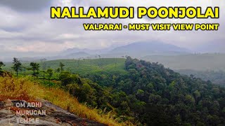 Nallamudi Viewpoint 🐘 Valparai Famous Tourist Place Complete Details