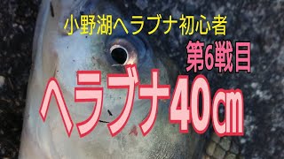 ヘラブナ初心者が小野湖のヘラブナに挑戦！通って一週間目に！