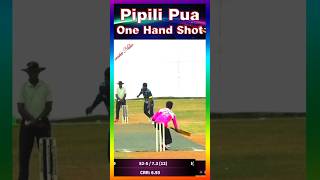 Pipili Pua One Hand Short #cricketnisha #pipilipua #trendingshorts #vialshorts #cricket