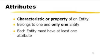 What is an Attribute?