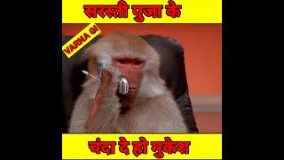 #shorts #mirror#prank#monkey Video #attitude #monkey #sarswati#pooja #prank#video #monkey#ytshorts
