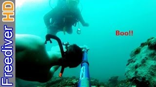 Sneaky Freediver VS Scuba diver