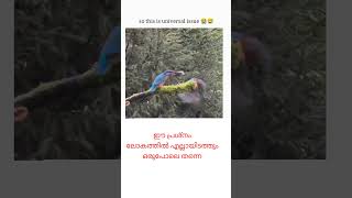 ലോകത്തിൽ എല്ലായിടത്തും ഈ പ്രശ്നം ഇതുപോലെ തന്നെ