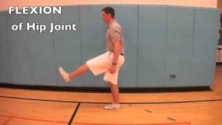 B.1.4 Compare movements of the hip joint and knee joint