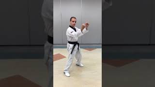 Gajok Taekwondo - Blue Belt Self Defence #1