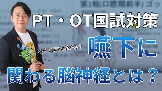 【生理学③】嚥下がめちゃ簡単に分かる動画（嚥下に関わる脳神経とは？）鰐部ゼミナールPTOT国試塾