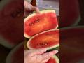 Cutting watermelon#video #subscribe #shortvideo