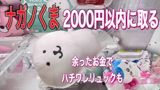 【ナガノくま】クレーンゲームの橋渡しでBIGぬいぐるみGET！236