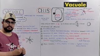 Vacuole: Types and Functions of Vacuole (Plant Central Vacuole) Detailed Series