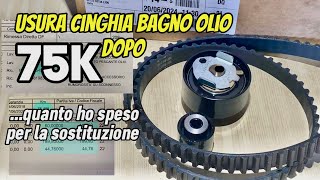 Cinghia distribuzione bagno olio a 75k