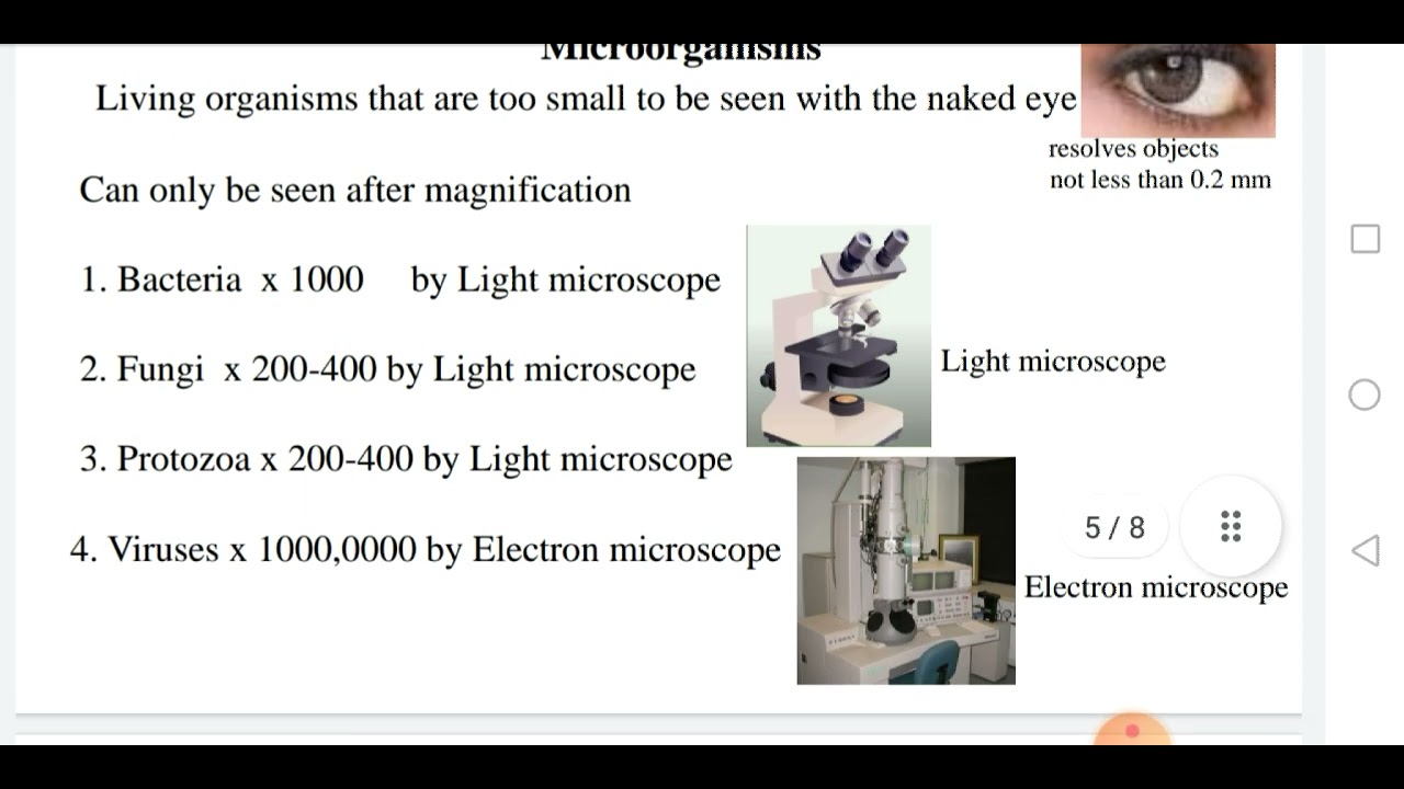 Microbiology Course Youtube