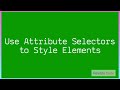 Use Attribute Selectors to Style Elements in CSS | CSS Full Course |#CSS | #revildo_code