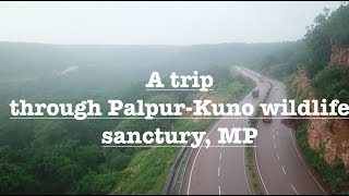 A road trip through Palpur-Kuno wildlife sanctuary in rainy season