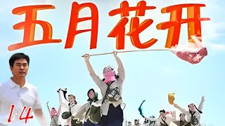 ENG SUB【五月花开May flowers bloom】第14集 | 马跃/剧雪/白凡  | Koala TV