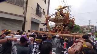 平成２５年 富賀岡八幡宮神社 例大祭 本社神輿渡御 パワフル 。