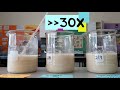 The effect of sugar on yeast