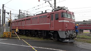 2020/10/01 JR East: EF81 81 at Tabata Depot