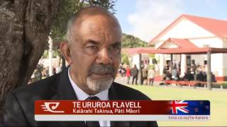 Iwi stick to their guns over Treaty issues