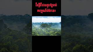 រកឃើញទីក្រុងអាថ៌កំបាំងក្នុងព្រៃអាម៉ាហ្ស៊ន #ការពិតគួរឱ្យខ្លាច #khmer #khmershorts #khmerlanguage