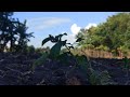 pemandangan indah dengan latar belakang langit biru