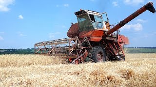 СельхозТехника ТВ начала уборку зерновых | Нива СК 5 | Эксперименты