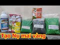 Phân bón Tạo Nụ cho cây mai vàng