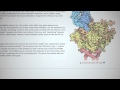 Learn about HIV from the RCSB Protein Data Bank