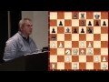 Kasparov vs. Anand | World Championship 1995 - FM Aviv Friedman