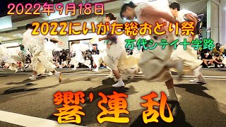 【参加者視点】 響'連2022 乱～2022にいがた総おどり祭 9月18日 万代シテイ十字路メイン会場フィナーレ 【演舞動画】