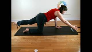 Sunbird (Parsva Balasana, Chakorasana, Chakravakasana, Chakorakasana)