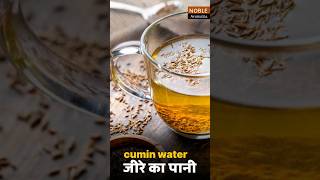 आपको चौंका देंगे जीरे के पानी के फायदे? Noble Ayurveda #shorts #short #cuminwater